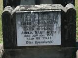 image of grave number 887320